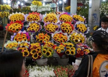 San Valentín: Dónde comprar Flores, poemas, canciones para dedicar y más
