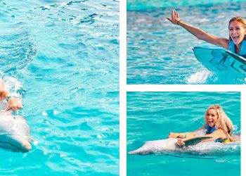 The Dolphin Company Lanza “Dolphin Benefits”, un Programa de Lealtad Exclusivo para Quintanarroenses