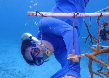 Voluntariado juvenil se suma a la restauración de arrecifes en Chankanaab