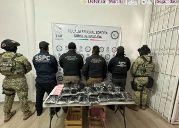 «Capturan en Sonora a Hombre con 32 Kilos de Fentanilo Ocultos en Nopales»