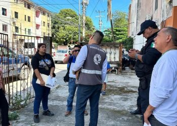 Cancún refuerza su lucha contra el maltrato animal