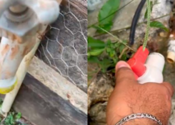 crisis de agua Chetumal