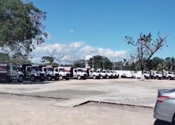 falta de recolección de basura