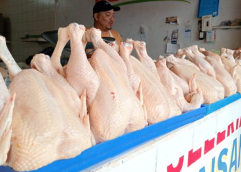 pollo cuaresma Chetumal