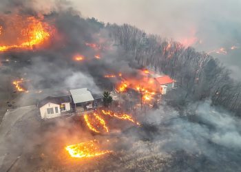 INCENDIOS EN COREA DEL SUR