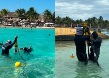 barreras antisargazo