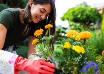 plantas resistentes al frío y al calor