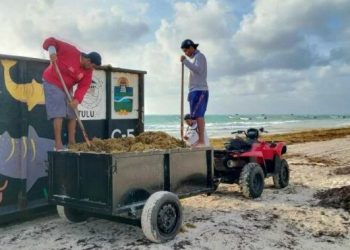 RECOLECCION DE SARGAZO