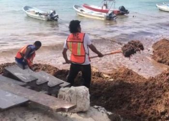 Recoleccion de sargazo