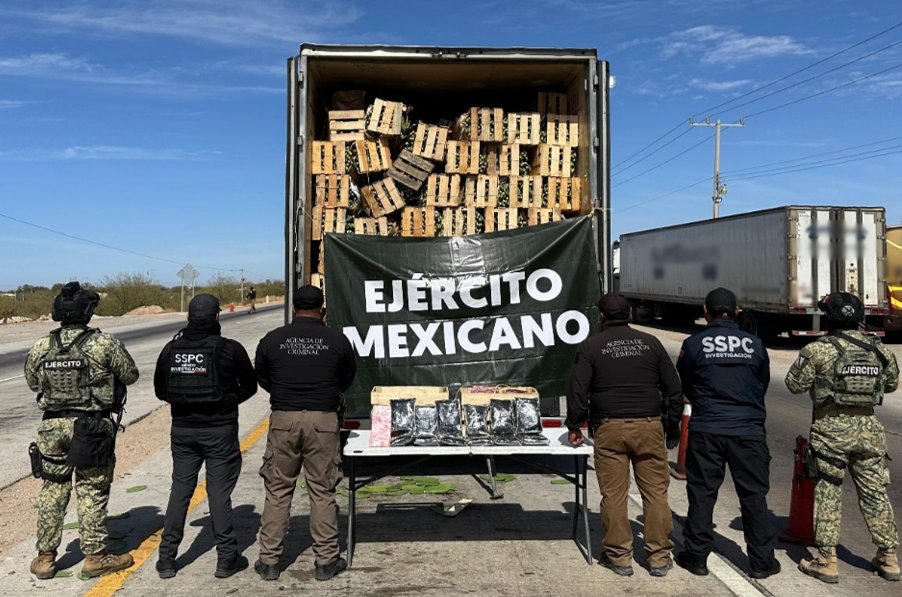 Autoridades federales aseguraron 32 kilos de fentanilo ocultos en un cargamento de nopales durante un operativo en Sonora.