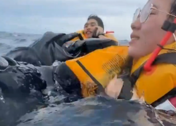 VIDEO «¡Tragedia en el mar! Joven graba el impactante momento en que un barco se hunde dejando a varios flotando a la deriva»