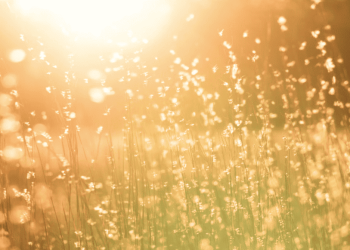 Consejos de la abuela para quitarnos el calor (sin conectar nada)