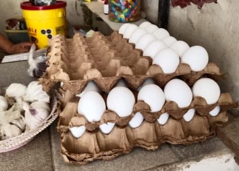 Escasez fomenta tráfico de huevos de Canadá a Estados Unidos