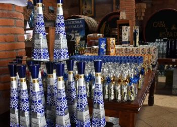 «Guanajuato fortalece su comercio global con nuevas exportaciones»