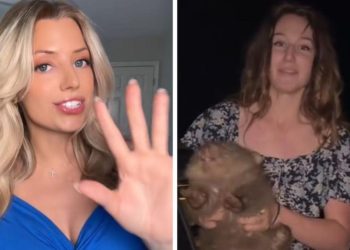 Influencer se disculpa tras arrebatar un wombat de su madre