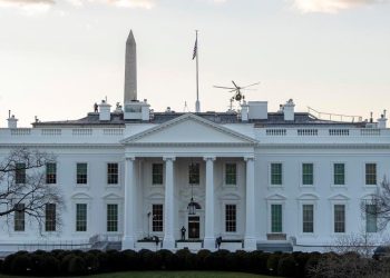 La Casa Blanca retirará de su jardín un árbol plantado hace casi 200 años