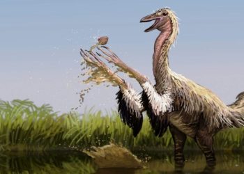 Larga vida al Mexidracon