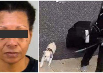 Mujer ahoga a su perro para abordar un avión; lo dejó en el baño del aeropuerto