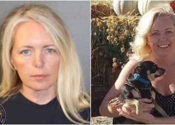 Mujer deja a su madre sola con sus perros y la atacaron hasta matarla