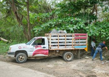 Supervisa Mara Lezama limpieza de basurero clandestino en área verde de la colonia Forjadores, para devolver el brillo a Chetumal