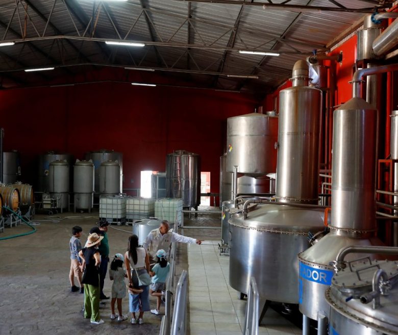 Un hombre trabaja en una destilería de tequila en la zona de El Arenal, Jalisco. A la izquierda, un jimador (agricultor que cosechan plantas de agave) trabaja en un campo, mientras la industria vive momentos de incertidumbre por los aranceles del gobierno de Donald Trump