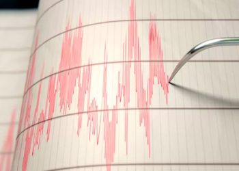 Tonga registra terremoto magnitud 7; activan alerta de tsunami