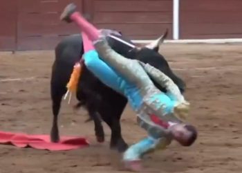#Video Torero Emilio Macías sufre una grave cornada en Tlaxcala