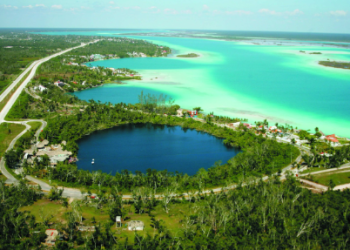 Festival Gastronómico