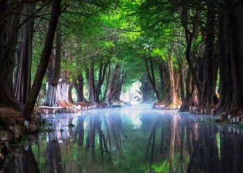 6 leyendas nacidas en los lagos de Xochimilco