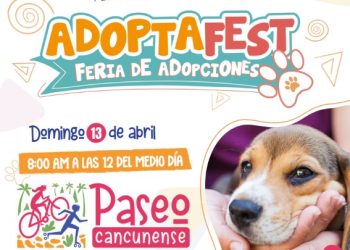 Adoptafest en Paseo Cancunense