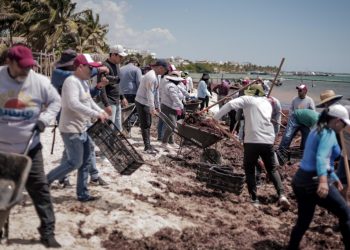 Chetumaleños unidos contra el sargazo