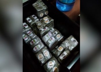 «Desmantelan red internacional de tráfico de drogas: 38 detenidos en operación «Varita» en Madrid»