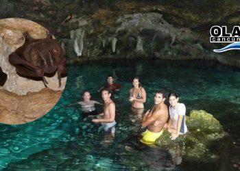 histoplasmosis cenotes