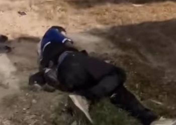 agresión a ampayer cancun