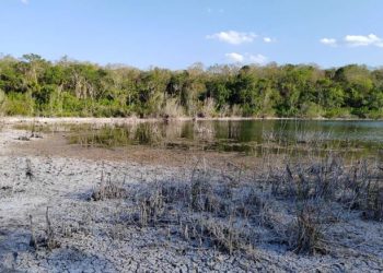 «Mantos freáticos en riesgo por contaminación en la Península de Yucatán»