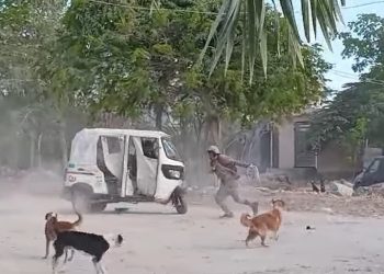 riña en Playa del Carmen