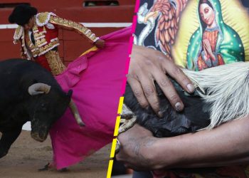 Aguascalientes declara corridas de toros y peleas de gallos como Patrimonio Cultural