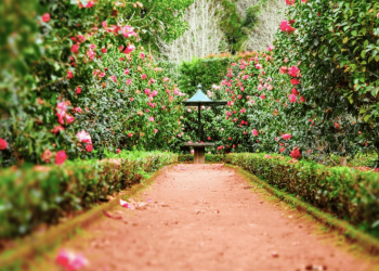 Cinco jardines secretos en la CDMX para refugiarnos del calor