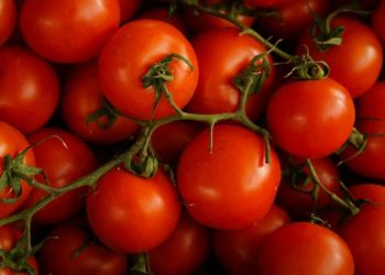 EE.UU. impondrá arancel del 20.91% a tomates mexicanos a partir de julio: Reuters