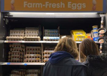 El precio de los huevos sube a máximos históricos en EE.UU.