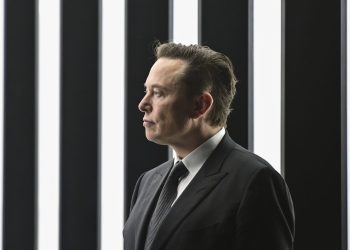 Elon Musk llama “imbécil” al asesor de Comercio de Donald Trump