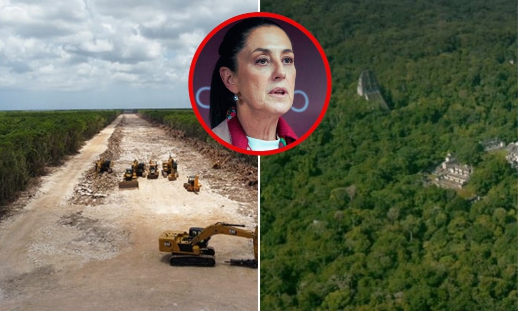 Guatemala protege su selva del Tren Maya, revela Claudia Sheinbaum; mientras México permitió daños a cenotes y tala de árboles dice colectivo