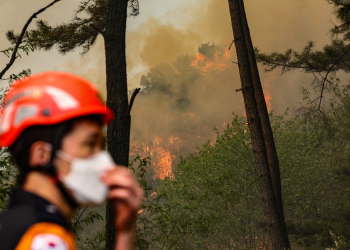Incendio forestal en Corea del Sur provoca evacuaciones y alerta máxima