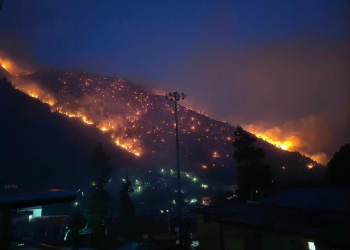 VIDEO: Incendio forestal en Arunachal Pradesh fue controlado sin víctimas