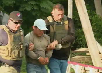 Migrante guatemalteco resiste a su detención ocho horas subido a un árbol