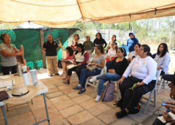 Impulsa Gobierno de Playa del Carmen proyecto de Huertos Urbanos