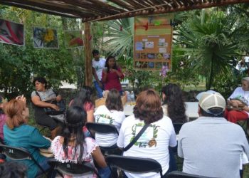 Invita la FPMC al Festival del Colibrí Esmeralda para fomentar el cuidado ambiental y la observación de aves en Cozumel