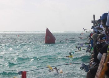 Logra Quintana Roo 18 boletos para la Olimpiada Nacional CONADE 2025 en la disciplina de Aguas Abiertas