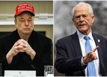 Musk llama a uno de los asesores principales de Trump “imbécil” y “tonto”