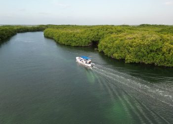 Gestión del agua en Quintana Roo será coordinada por Benito Juárez